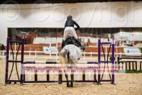 Merrist Wood - 4th January 2025 - Indoor Eventing